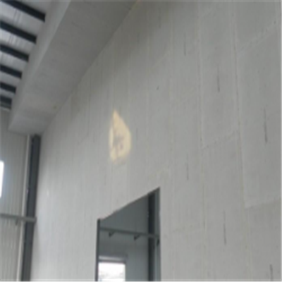 平顶山宁波ALC板|EPS加气板隔墙与混凝土整浇联接的实验研讨